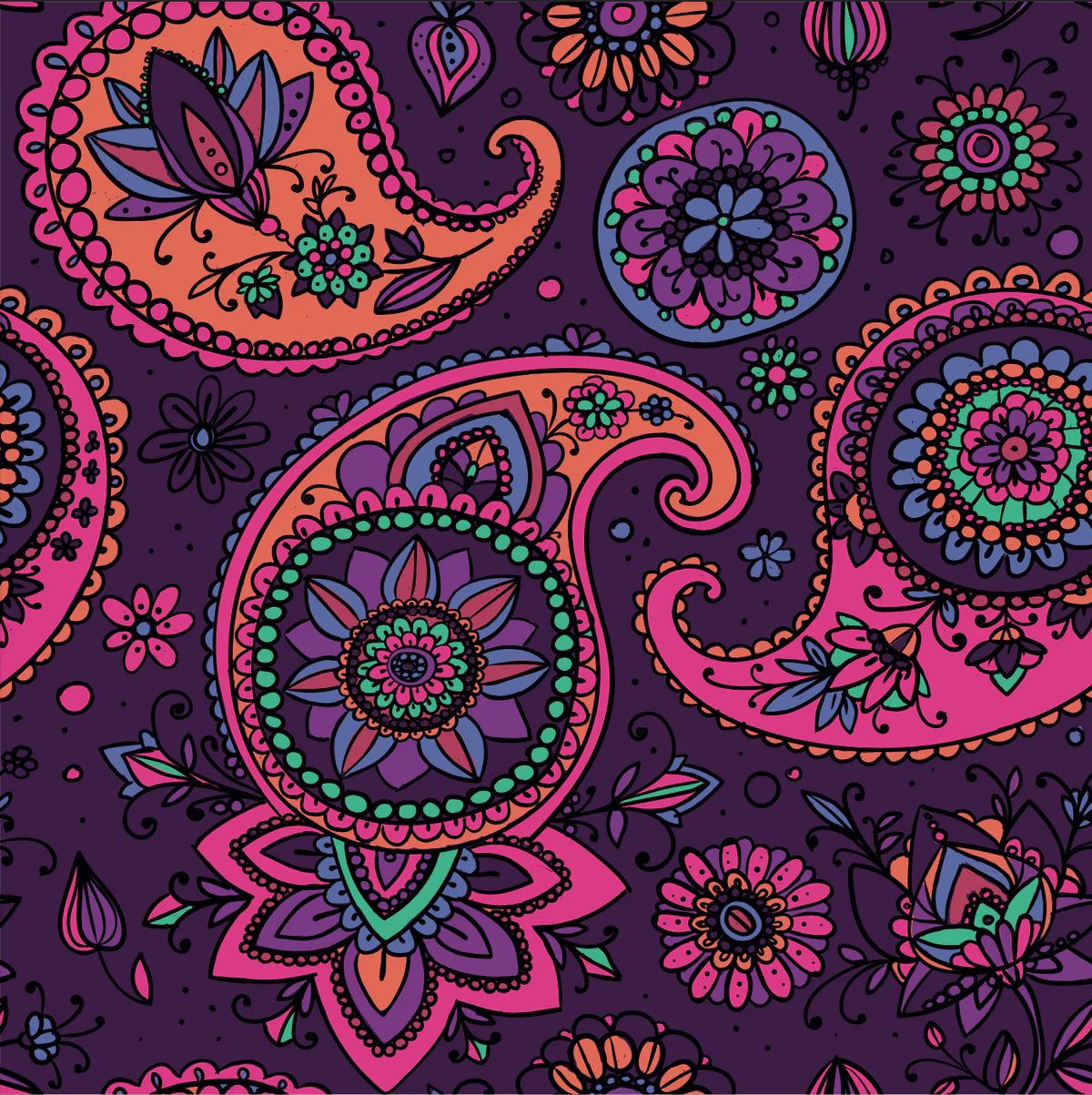 Paisley Perfection - Pant Set